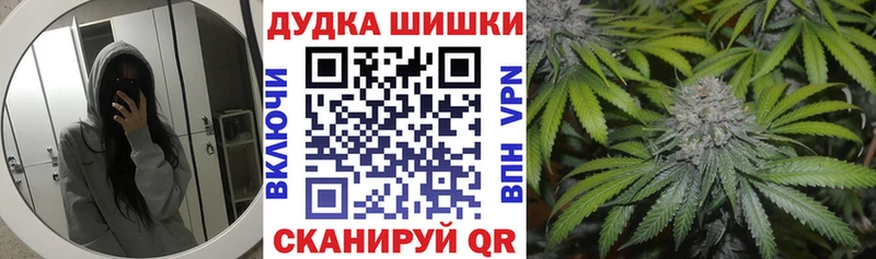 Конопля план Купить где Орёл